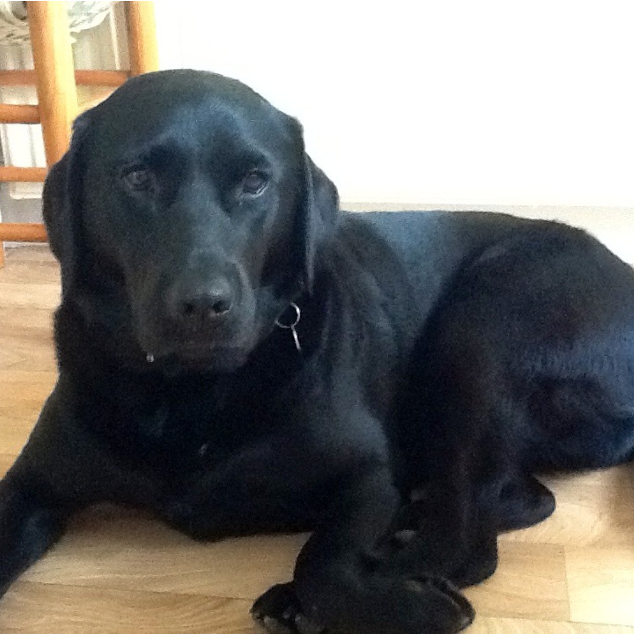 Pheel123's profile picture. Walking working chatting reading burb-dwelling 40-something