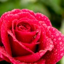 Mone Brown - @MoneBrown2 - Twitter