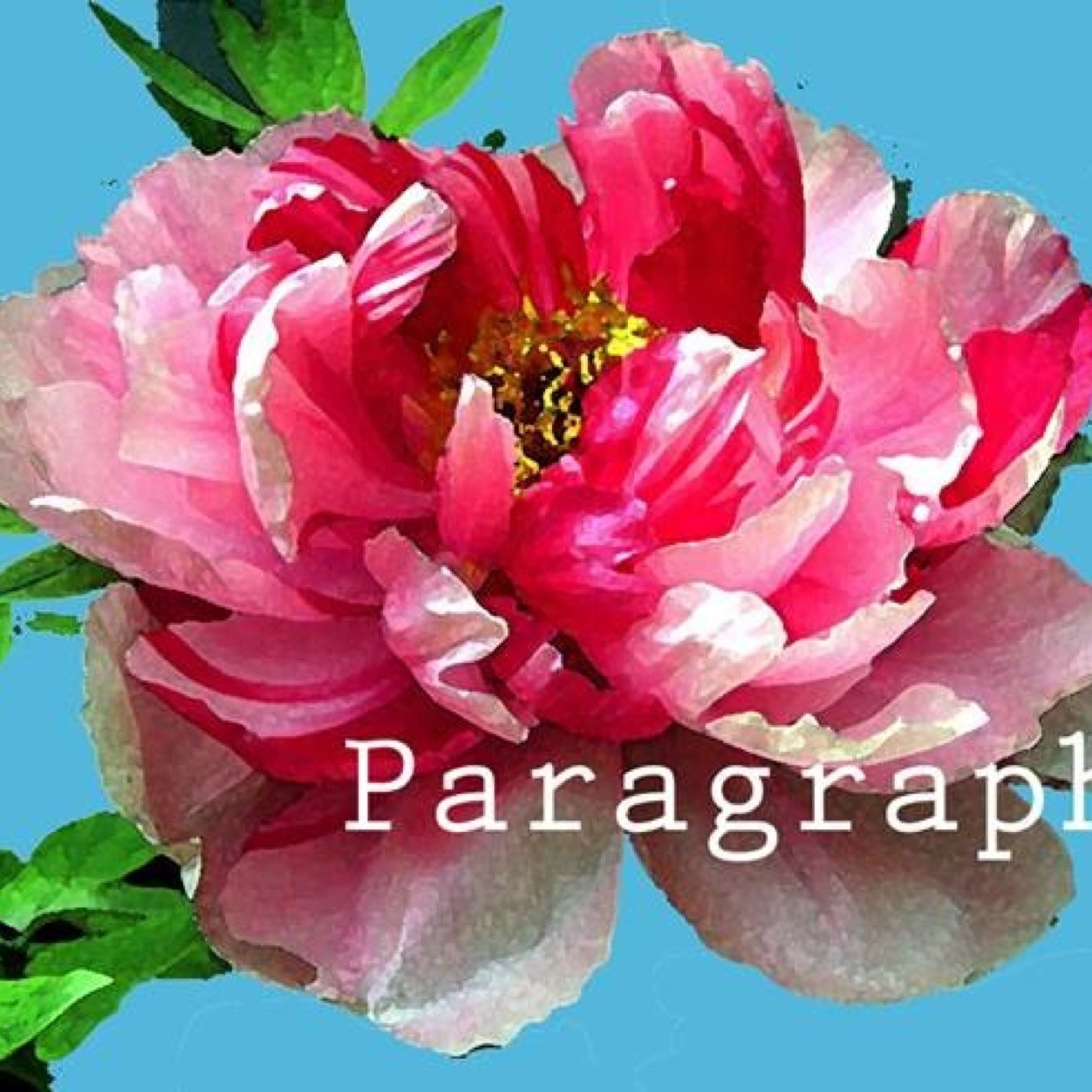 Paragraph Event Styling - Weddings, high teas and Business events. Your next Chapter starts here.