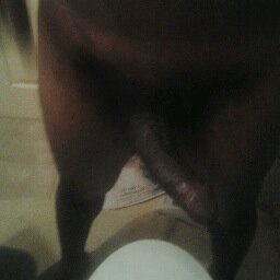 Erotic, Passionate, Black Fuck Meat that will make that pussy fart or queef.!. .I. love the sound and feeling of making that pussy fart or queef.!.