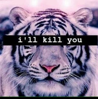 iiisbh_'s profile picture. 