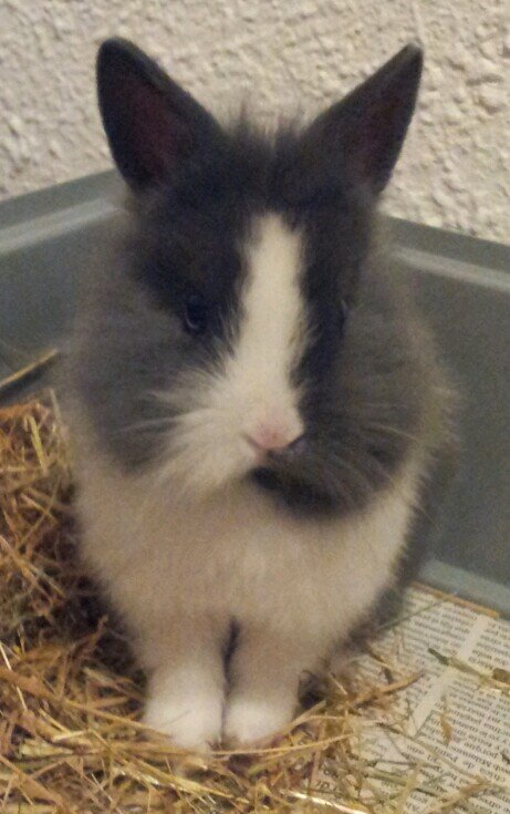 Nena13Nene's profile picture. Una vida ocupada es una vida plena.