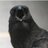 croakingman's profile image