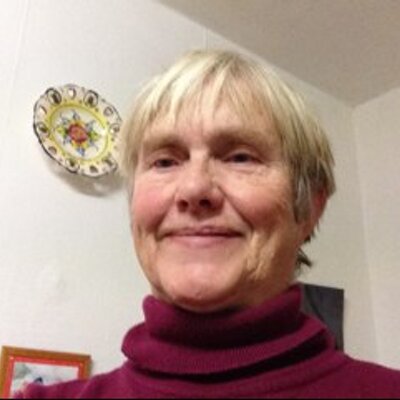 Profile Picture of Sylvia Walker 🇪🇺🇬🇧🇫🇷 (@goasvennic) on Twitter