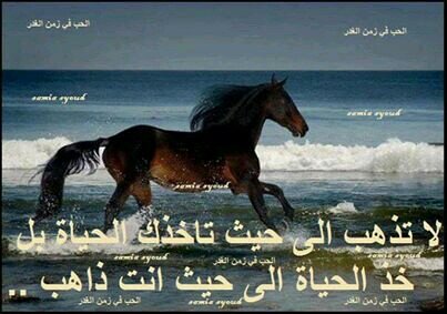 طباعة واعلان وهدايا دعائية