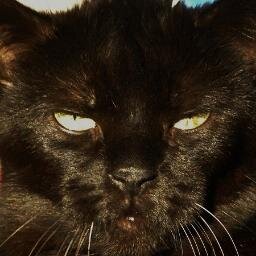 Ruhrmaus's profile picture. Und dann ist da dieses Leben, dieses eine...