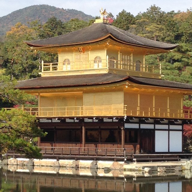 サンクトペテルブルグ在住→日本に帰ってきました→ジャカルタでまた働いてます