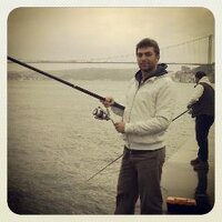 Bertan Şenol (@bertansenol) 's Twitter Profile
