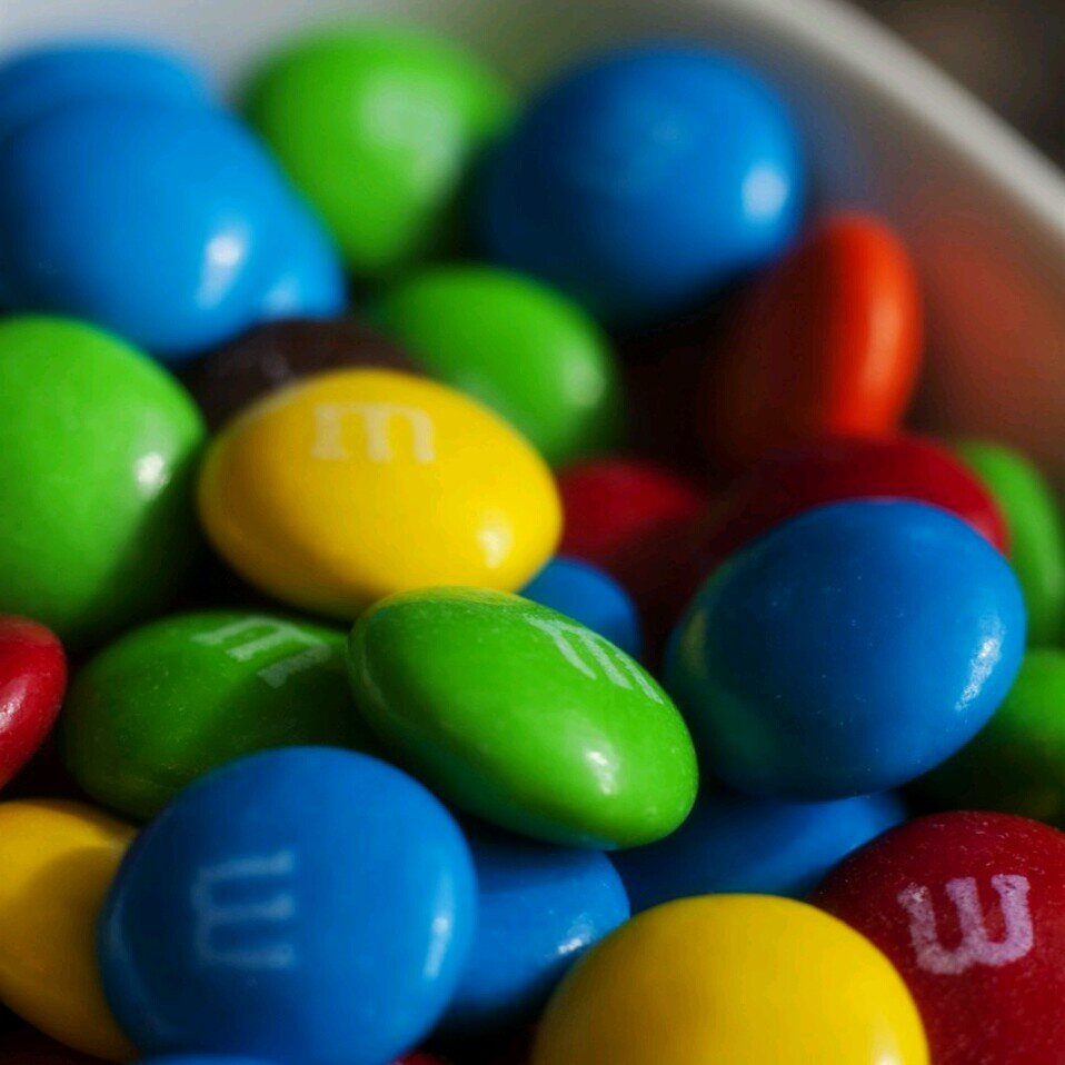 TrealfaRoberto's profile picture. Il mondo del mare é fantastico,si può vedere cose mai viste dalla terra ferma, un'esperienza meravigliosa........