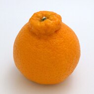 @katuai1go の規制垢。こっちもよろしくー