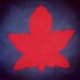 Jason Continenza (@i8gnocchi) Twitter profile photo