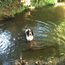 Jan Mack - @4seascape - Twitter