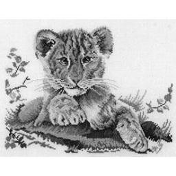 shanicebarrel's profile picture. i follow you now please follow me