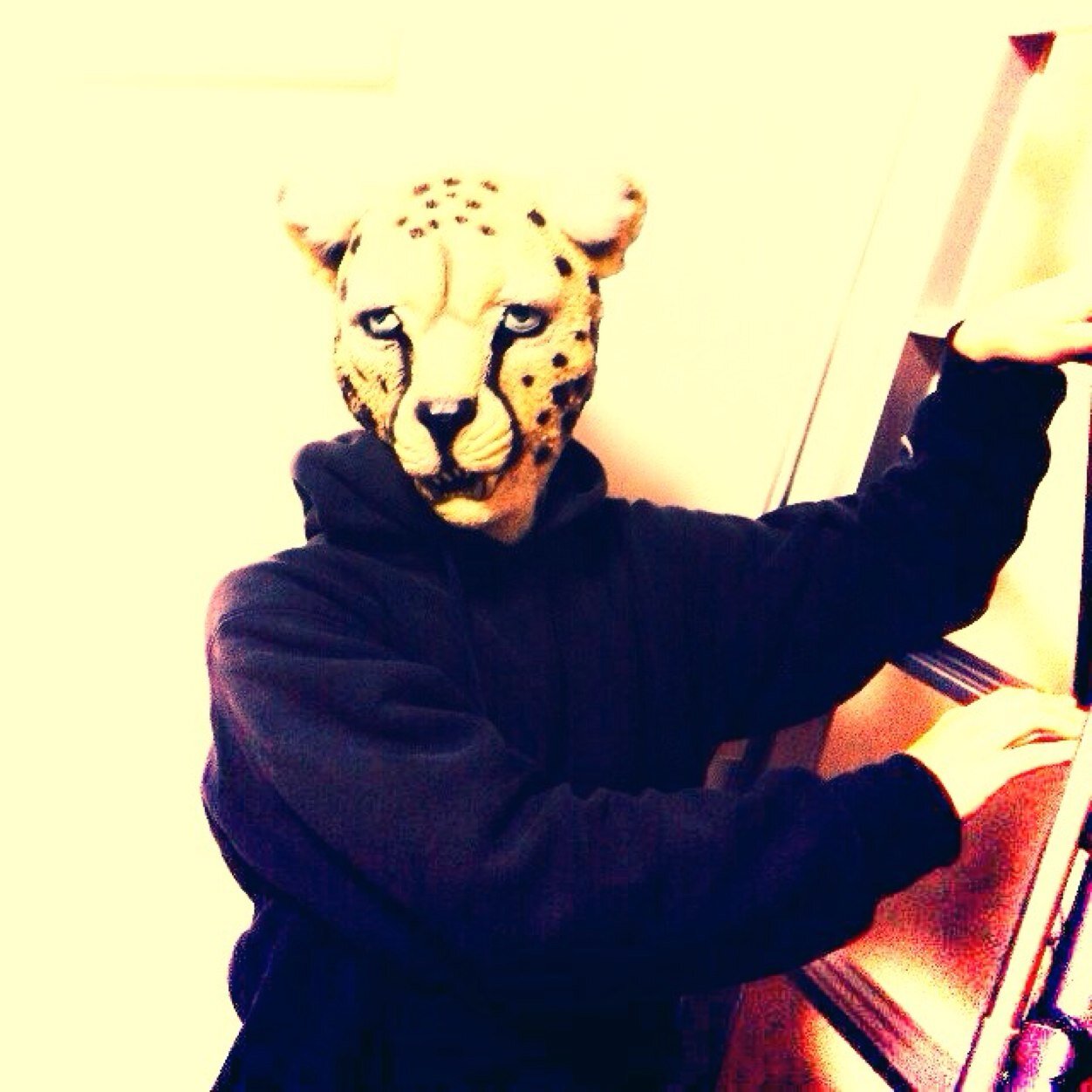 takaya.k (@fan_takaya) | Twitter