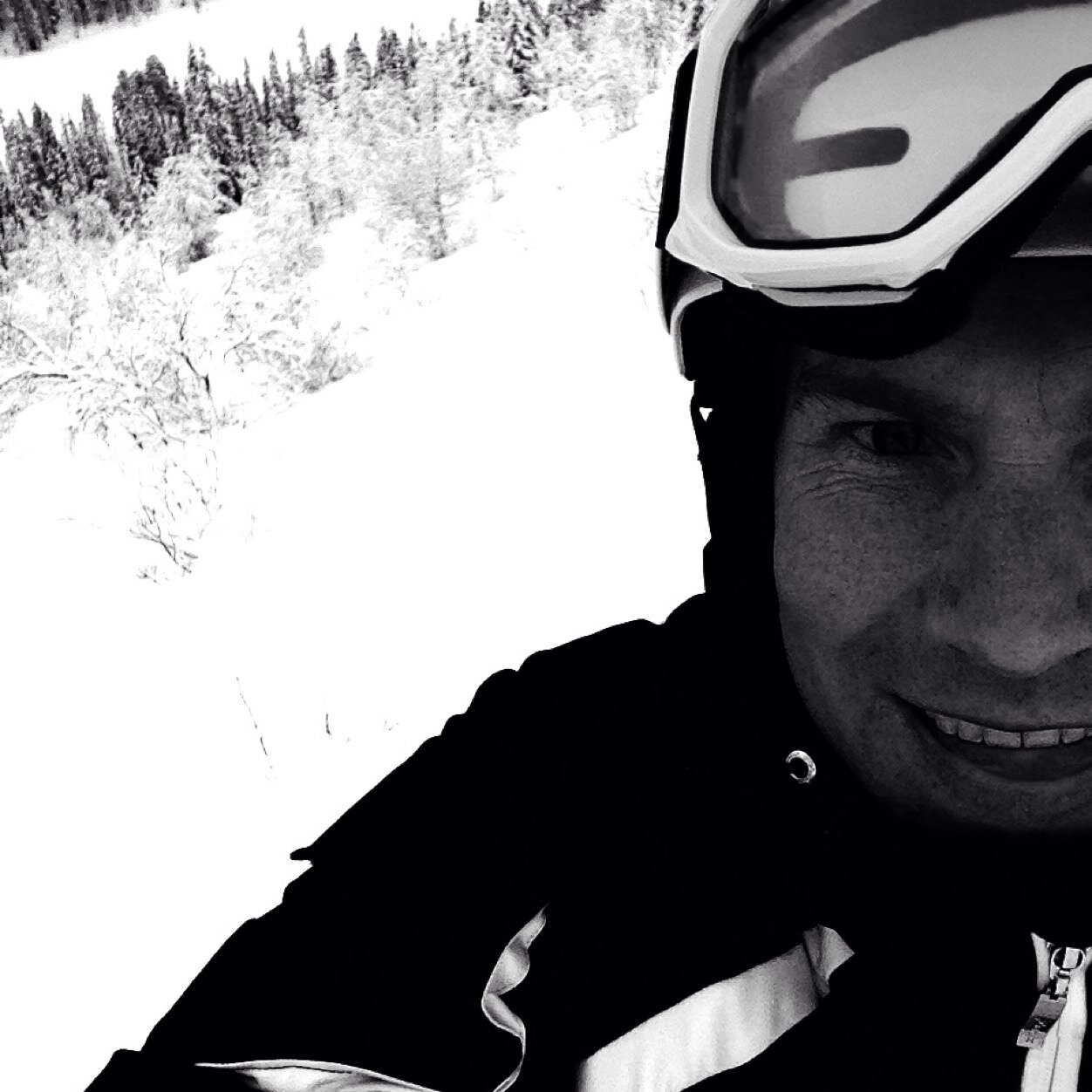 stangyy's profile picture. 