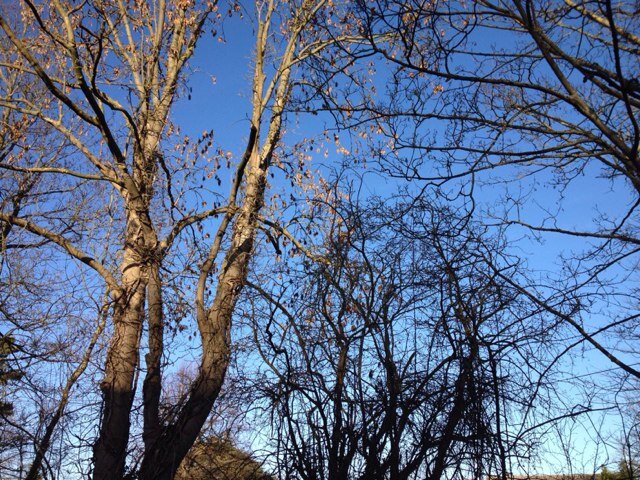 TheRetreat's profile picture. @Newnham_College @Cambridge_uni Alumna; Zero Carbon, Air Quality, Climate Change , Environmental Science @NewnhamAssoc @IAQM_uk Vice Chair