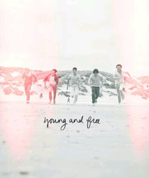 ♥i gave you a free follow bc you are fab so now you go and follow @flynialler_ ask for fback♡