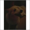 Patrick Bass - @patman994 - Twitter