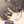 宝丼 (@TreasureBooru) profile picture