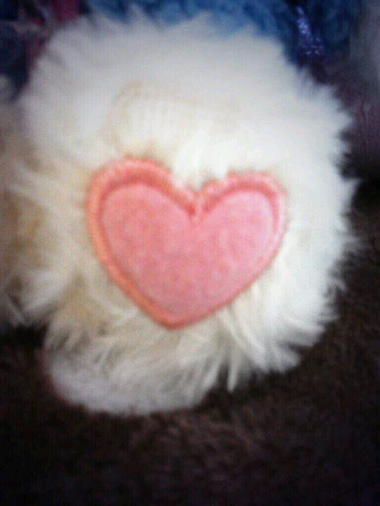 (♥ˆ﹀ˆ*)(*ˆ﹀ˆ♥) *