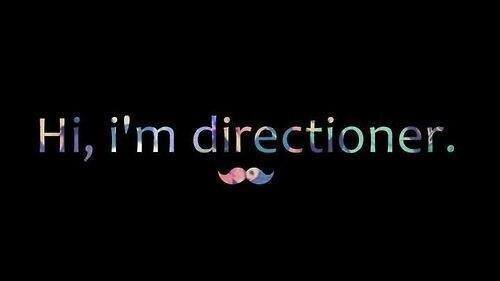 Please follow my first account @hrdyntdnd I'm Indonesian directioner.... Love you so much guys xx