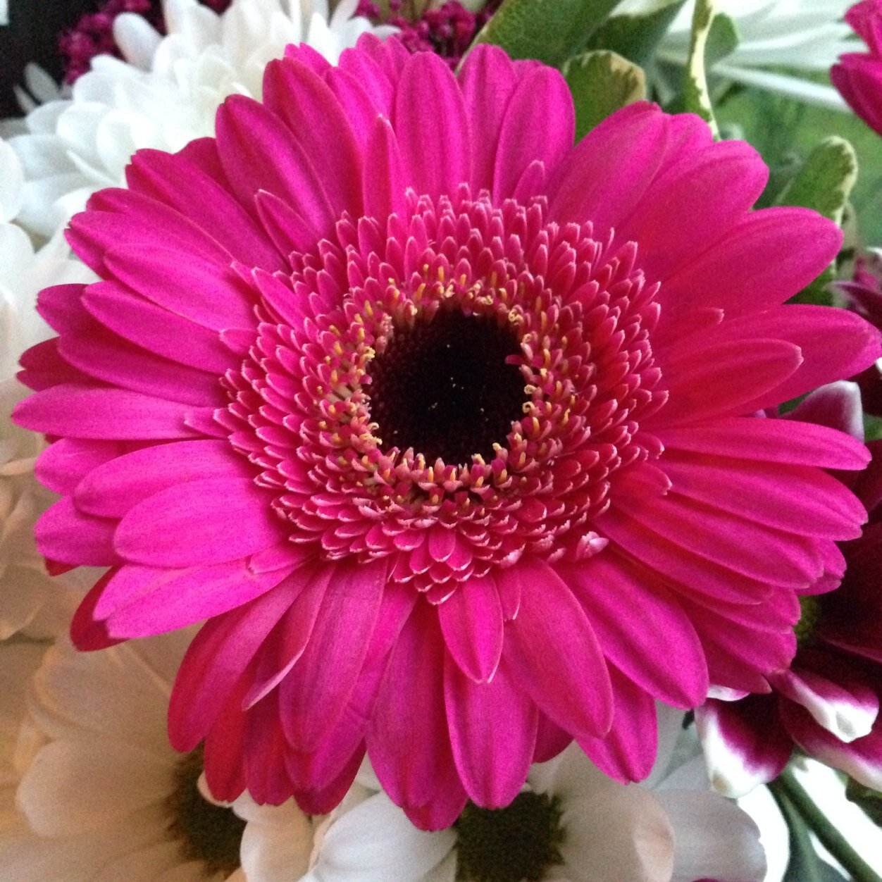 PatersonNicola's profile picture. 