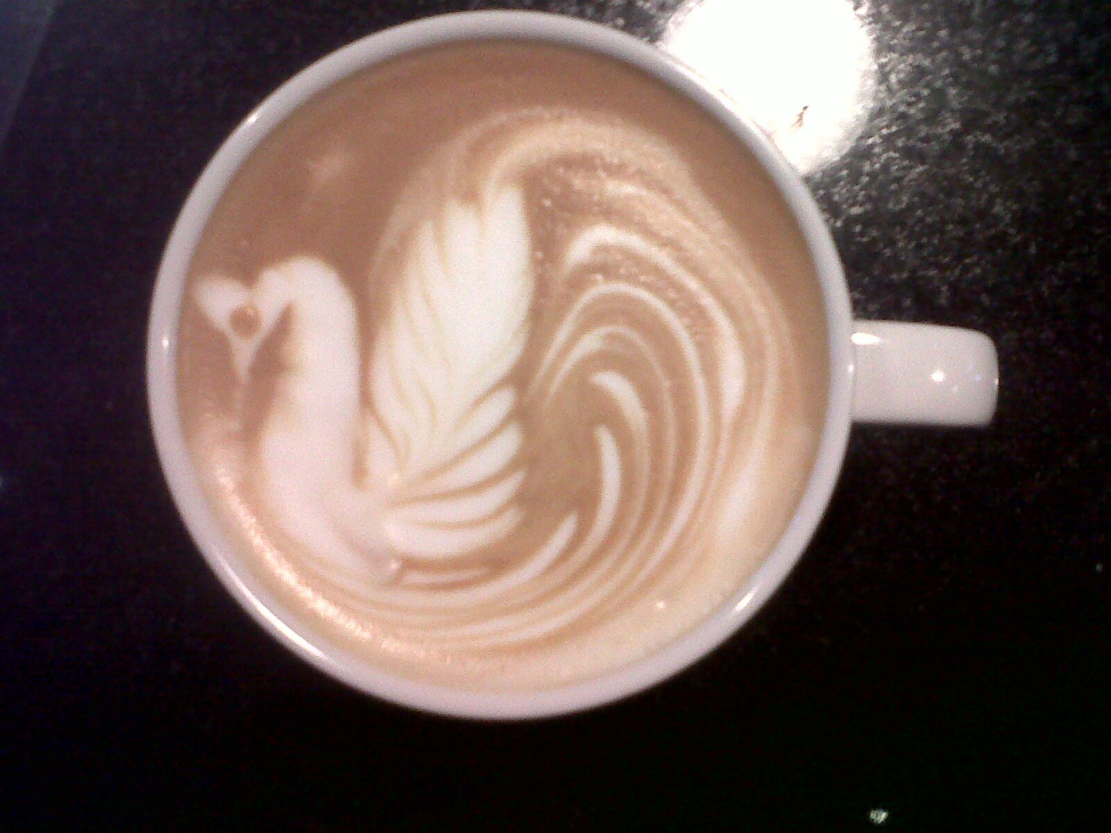 supply coffee, coffee catering, barista trainer, & consultant
