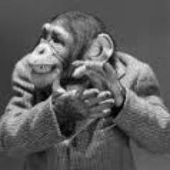 DeKlappendeAap's profile picture. Het nieuwe jeugdtheater van Eindhoven? !