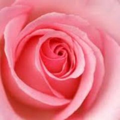 紅薔薇 Benibara719 Twitter 紅薔薇 Benibara719 Twitter