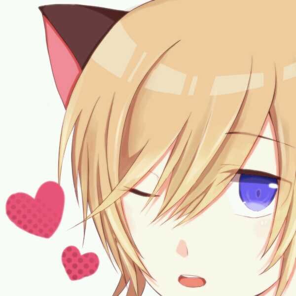 96猫さん大好きbot 96kashi Twitter