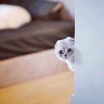 _rashed_a's profile picture. تابعني ~ أتابعكك  !