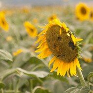 tanakahan0321's profile picture. 趣味でカメラやってます。ほとんどコスプレ撮影ですがたまには風景なんかも撮ってます(^_^;)
アーカイブ：https://t.co/vAUTdJ3fif…

趣味のアカウントなのでプラモデルもあったりします（笑）