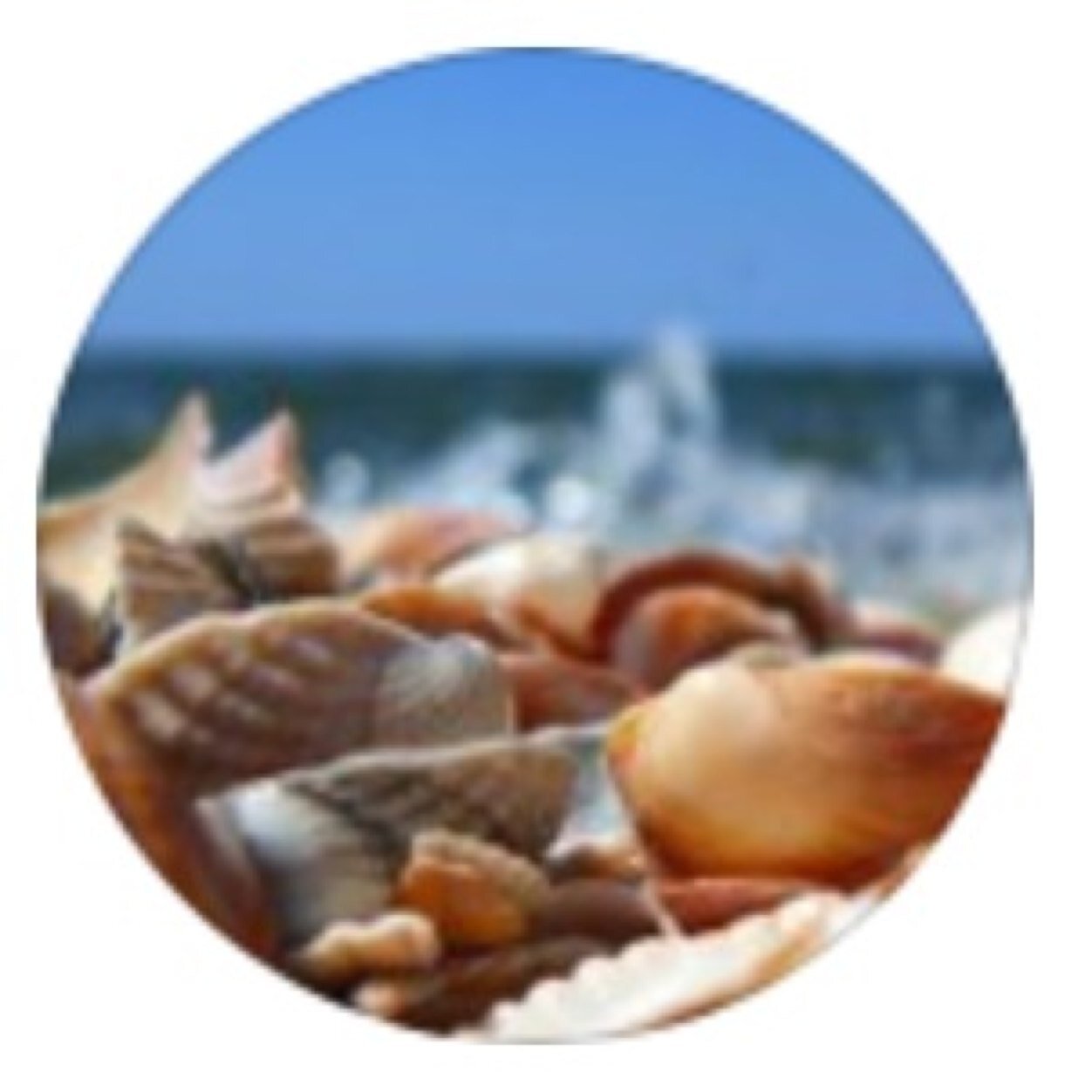 konikams's profile picture. INSTAGRAM : @konikams