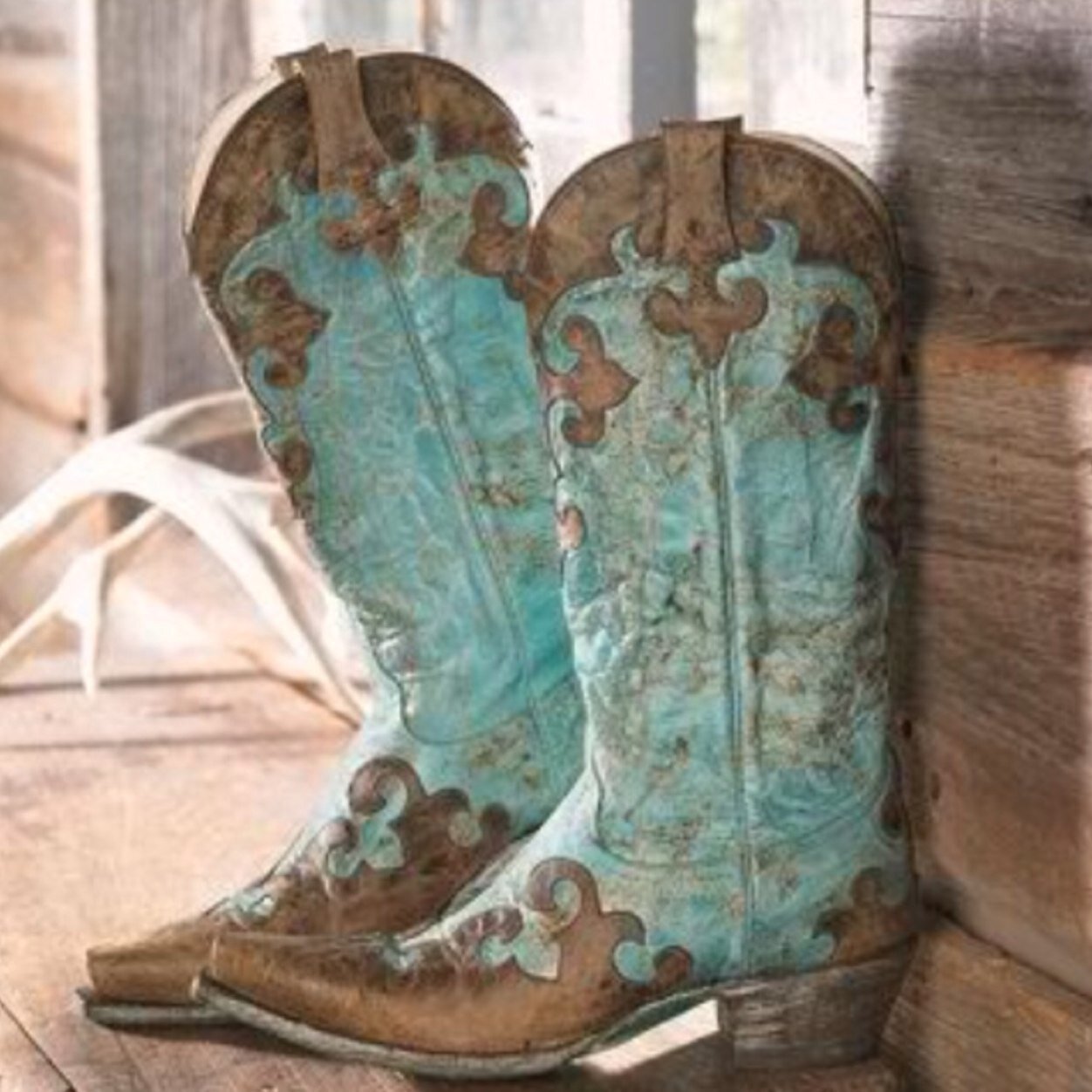 12_CountryGirl's profile picture. •GOD Above All•Anon•Born Country•My Horse❤️•Cleat Chaser• Hockey guys