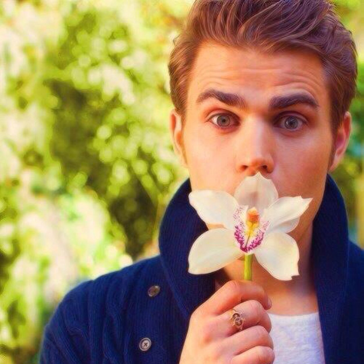 backup voting account for @wesleyvote (when on tweet limit I use @vote4paulwesley)