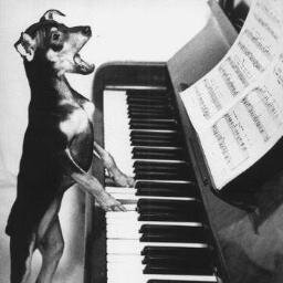 play piano. climb rock. ride bikes. drink Michigan beer. shop local. write code. sing songs. make art. build websites. ride bus.