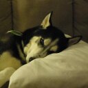 Mark Byerley - @rothusky1 - Twitter