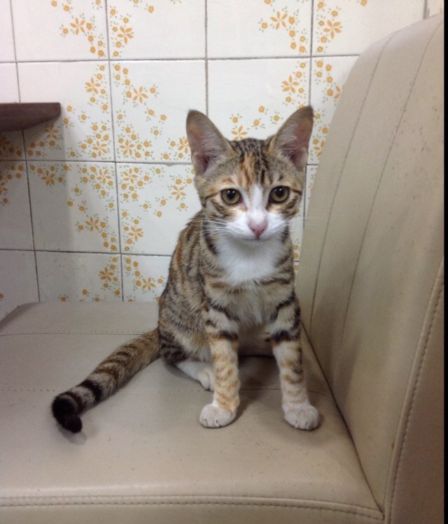 squarebread0_0's profile picture. 