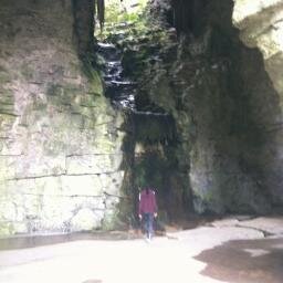 shreena1's profile picture. All I tweet about is my lack of sleep, I wouldn't follow me...