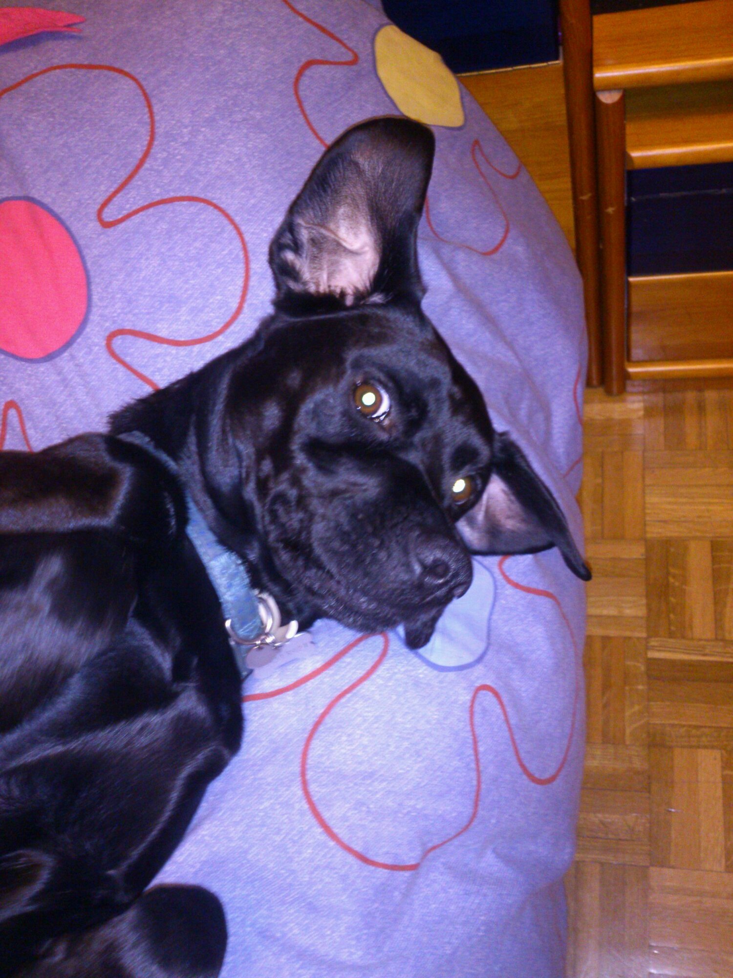 larita_kobu's profile picture. 