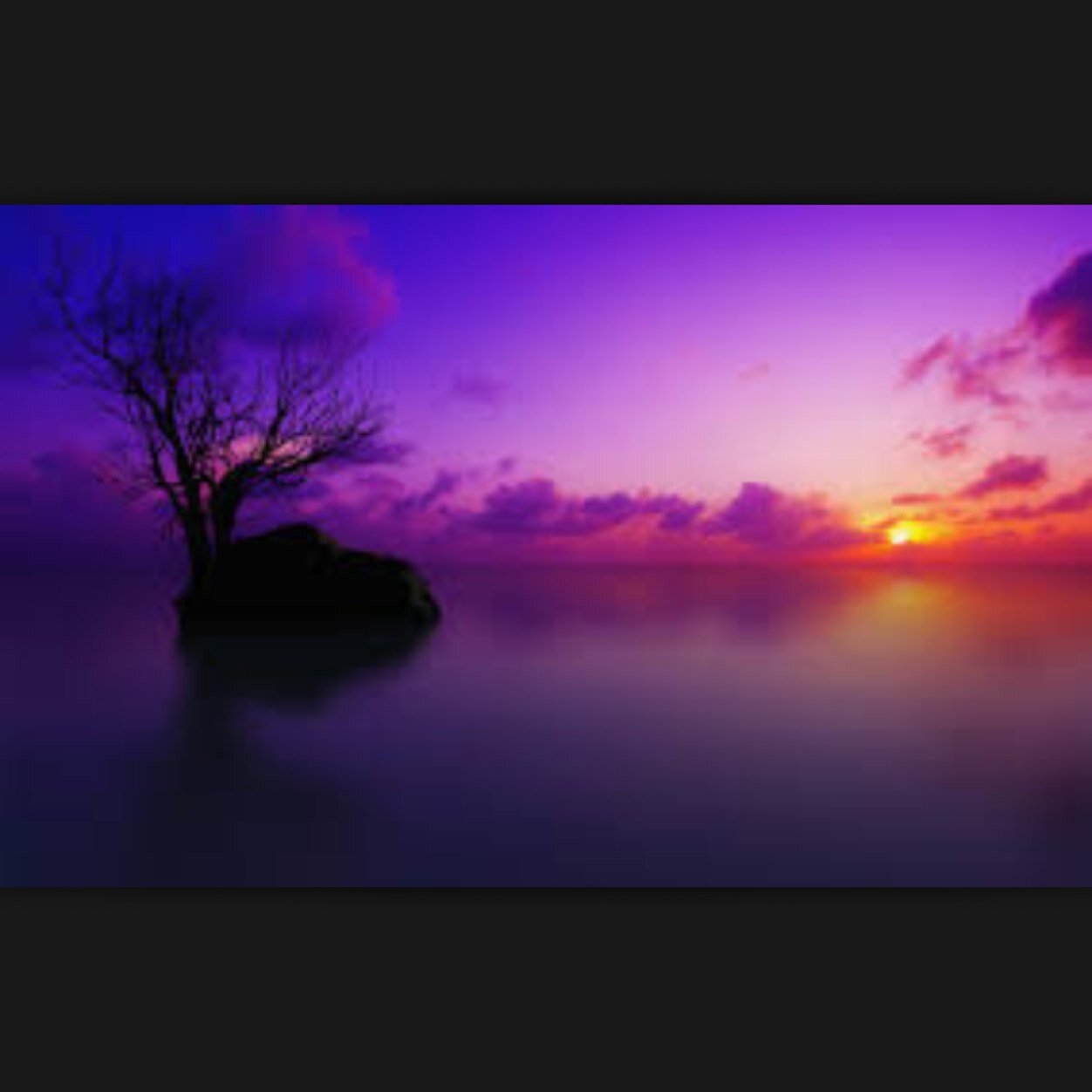 AnotherRpg_'s profile picture. 