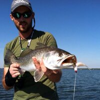 Casey Newton (@headcase53) 's Twitter Profile