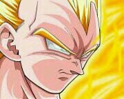 Soy Vegeta el Principe de los Saiyajin, el mas poderoso de todos mi esposa es bulma y mis hijos @Trunks__Brief y  @bra_ygoten || #insectos|| #foreversexy||