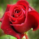 عبودى (@11999hfd) Twitter