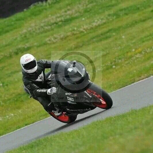 TonyBull1586's profile picture. 