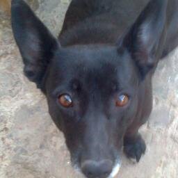 gabriel36606059's profile picture. holaa a todos espero tener mucho a mijos y