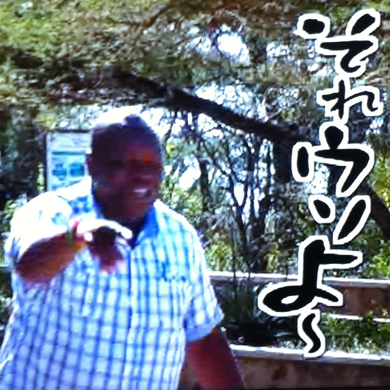 水曜どうでしょう ついに新作フラグきたー 公式サイトで いってきます 鮫島のきまぐれニュース速報 水曜どうでしょう ついに新作フラグきたー 公式サイトで いってきます 鮫島のきまぐれニュース速報
