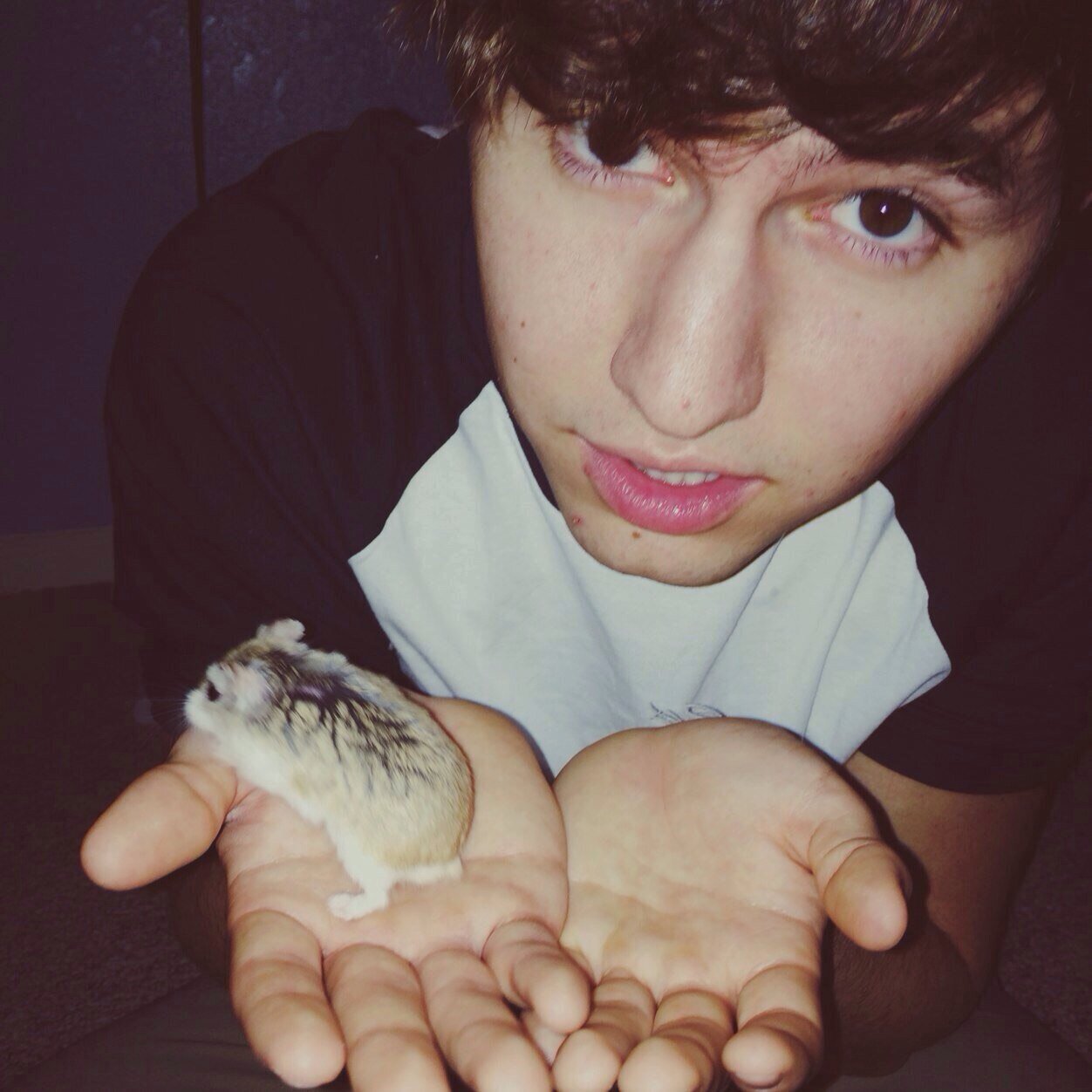 • 0/6 • O2L = perfection.