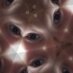 Linda Thompson (@linithompson) Twitter profile photo