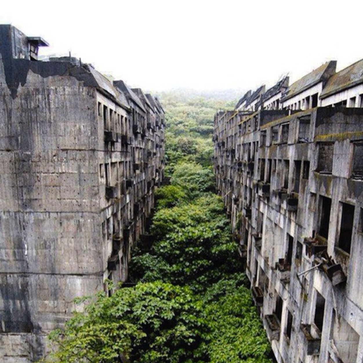 Lieux abandonnés a travers le monde... la nature fait maintenant son oeuvre.